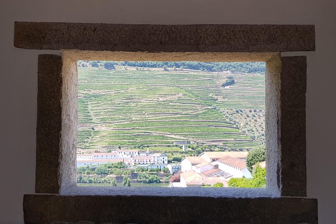 Douro Valley Wine Tour: 3 Vineyard Visits, Wine Tastings, Lunch - The N222 drive into the valley