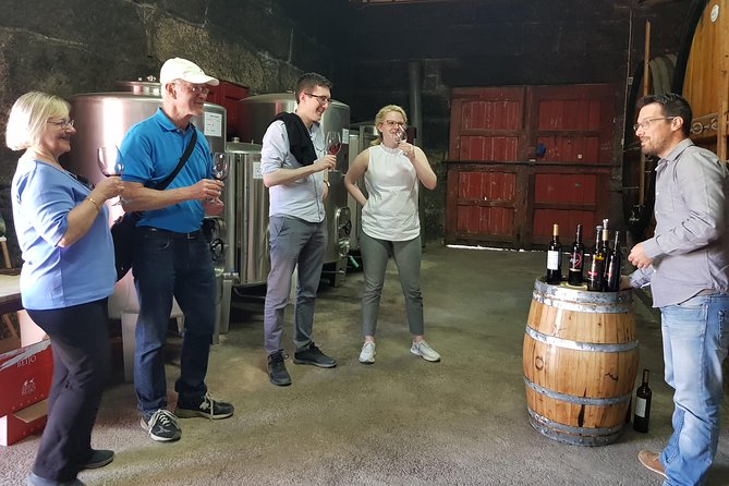 Douro Valley Wine Tour: 3 Vineyard Visits, Wine Tastings, Lunch - Group size, transport, and value at $133.02