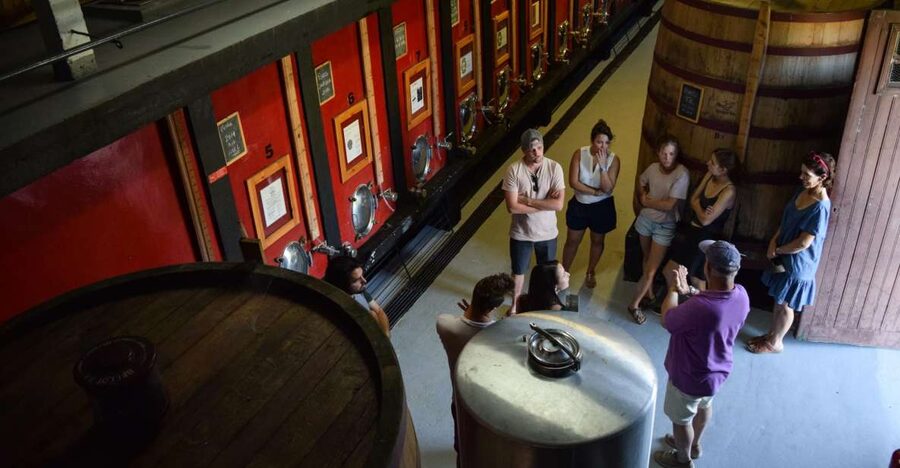Douro Valley: Winery Tour at Quinta do Tedo and Tastings - Arriving at Quinta do Tedo near Folgosa