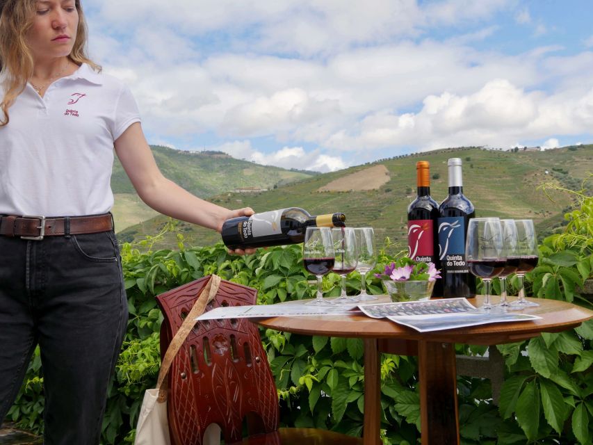 Douro Valley: Winery Tour at Quinta do Tedo and Tastings - A 30-minute tasting above the Douro