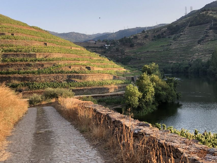 Douro Valley: Winery Tour at Quinta do Tedo and Tastings - Five minutes for shopping and a closer look at the bottles