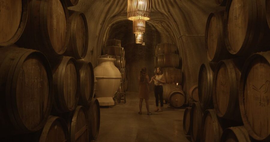 Douro Valley: Winery Tour at Quinta do Tedo and Tastings - Who will enjoy this Douro visit most?