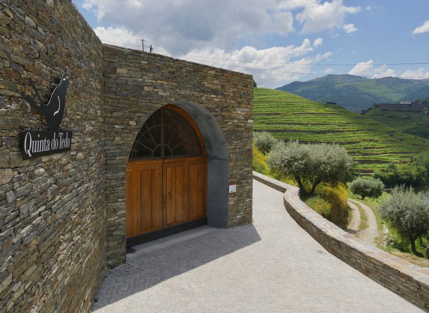 Douro Valley: Winery Tour at Quinta do Tedo and Tastings - A 35-minute walk through vineyards and olive orchards