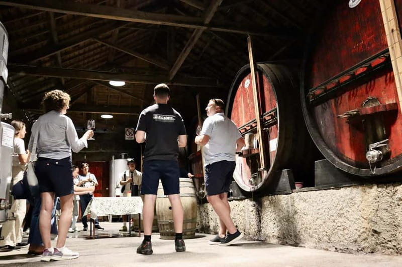 Douro Valley: Winery, Traditional Lunch & Private Boat Trip - Price, pace, and who should book