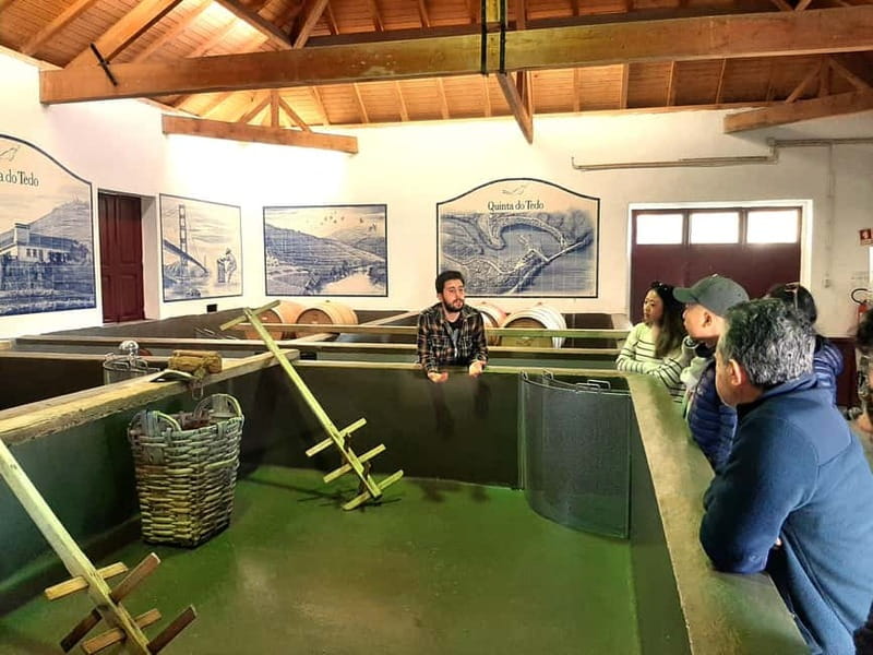 Douro Valley: Winery, Traditional Lunch & Private Boat Trip - Viewpoints over the terraced Douro