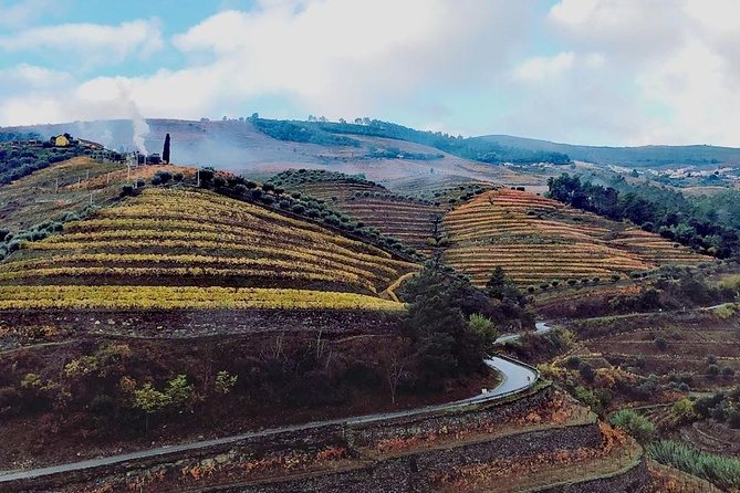 Douro Valley with Two Winery, Boat Trip and Lunch From Porto - Key points at a glance