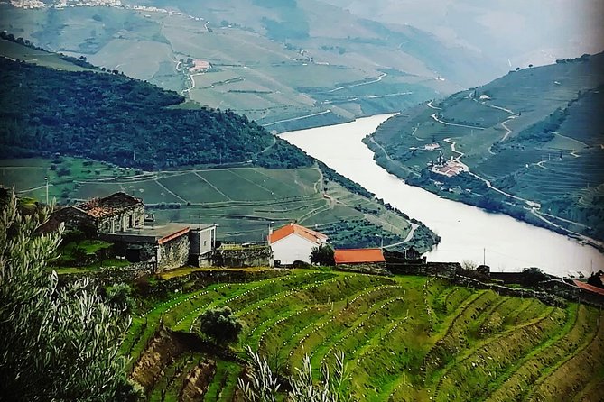 Douro Valley with Two Winery, Boat Trip and Lunch From Porto - Why this Douro day works so well