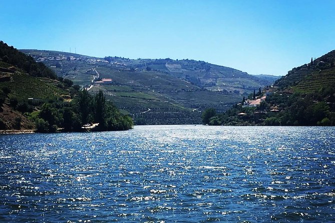 Douro Valley with Two Winery, Boat Trip and Lunch From Porto - First winery: Quinta do Seixo and Sandeman