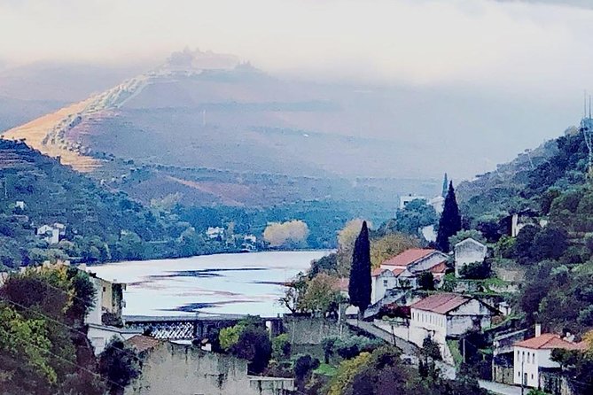 Douro Valley with Two Winery, Boat Trip and Lunch From Porto - Cruising the Douro from Pinhão