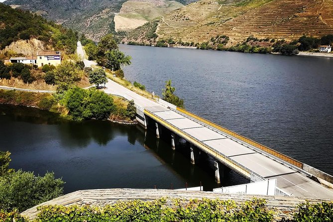 Douro Valley with Two Winery, Boat Trip and Lunch From Porto - The smaller producer and olive oil tasting