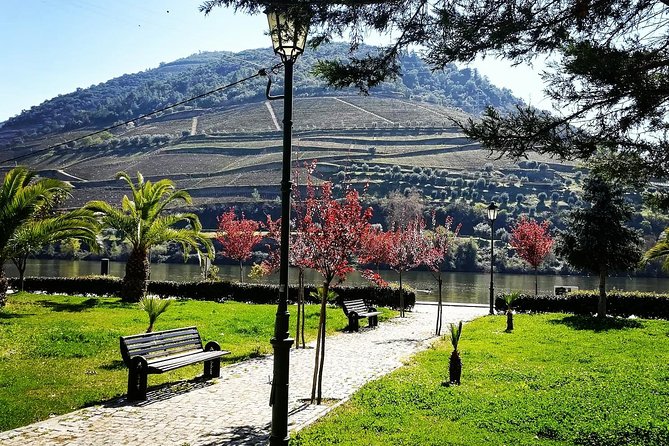 Douro Valley with Two Winery, Boat Trip and Lunch From Porto - Guides make the difference