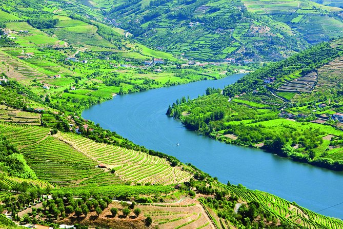 Douro Valley with Two Winery, Boat Trip and Lunch From Porto - The first winery explains Douro Port