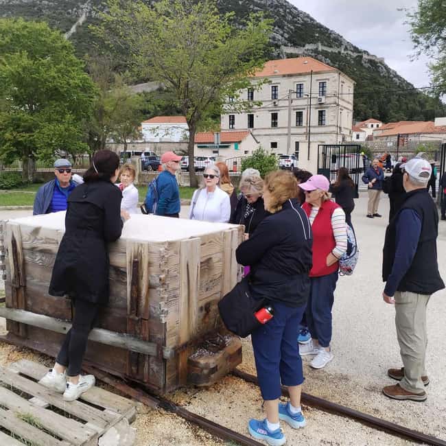 Dubrovnik: Oyster, Mussles, and Wine Tasting Tour in Ston - Pelješac wine in a family winery