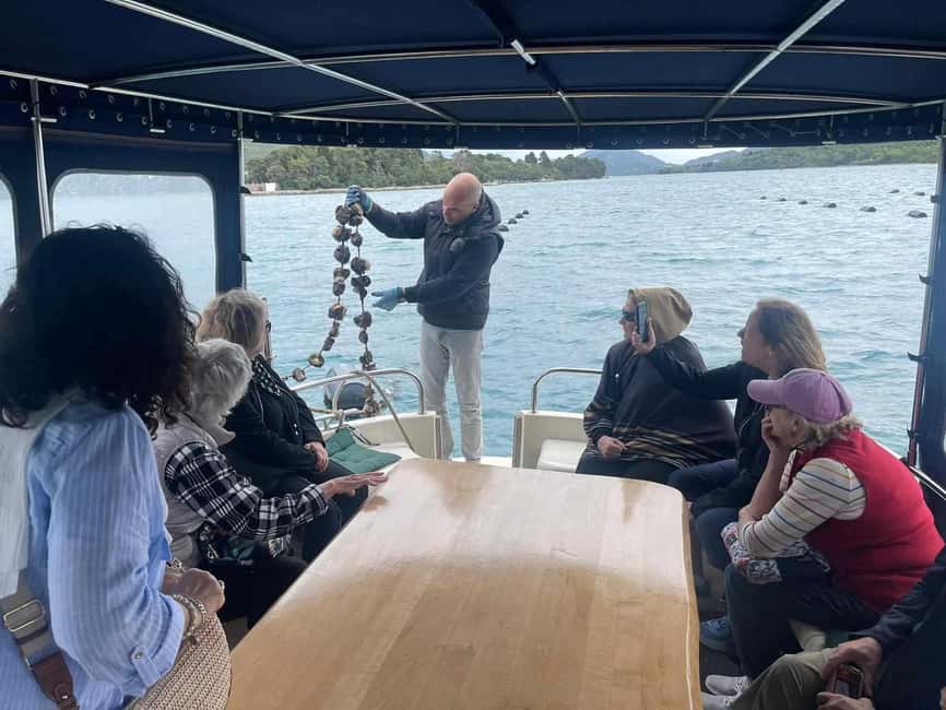 Dubrovnik: Oyster, Mussles, and Wine Tasting Tour in Ston - Who will enjoy this Ston day trip most