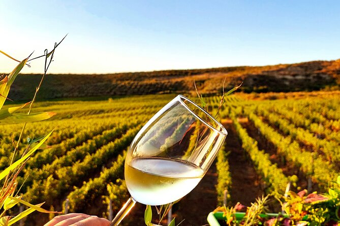 Durrës Countryside Vineyard Experience with Wine & Food Pairing - Why Durrës is a smart place to taste Albanian wine