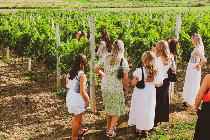 Durrës Countryside Vineyard Experience with Wine & Food Pairing - Is $95.54 good value?