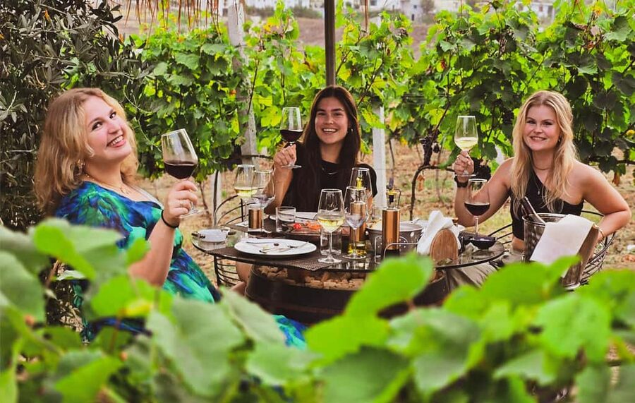 Durres Countryside Vineyards Wine Tasting & Food Pairing - Key points at a glance