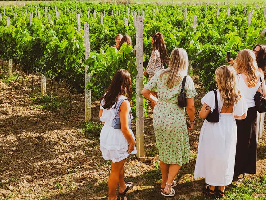 Durres Countryside Vineyards Wine Tasting & Food Pairing - Why the Durrës hills make a good wine outing