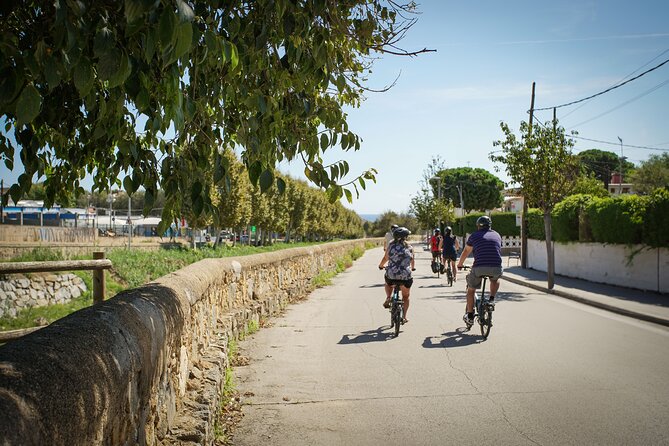 Ebike Tour, Winery, Wine Tasting & Sailing Experience(car option) - Weather, fitness, and what to pack