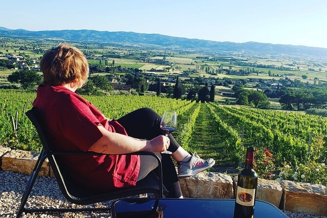 Enjoy and Taste the Flavors of Wine in an Open-air Venue - Four organic wines, explained at the table