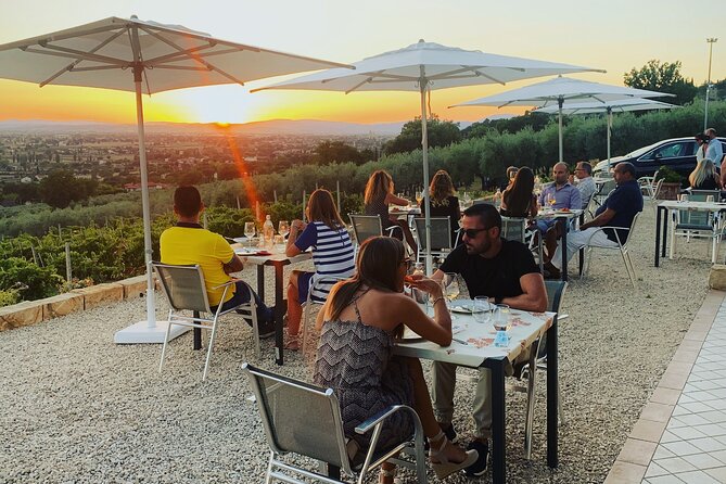 Enjoy and Taste the Flavors of Wine in an Open-air Venue - How the nearby stops fit together
