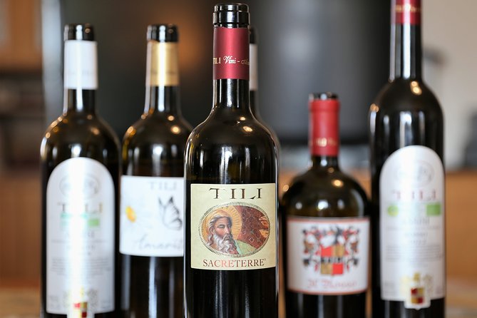 Enjoy and Taste the Flavors of Wine in an Open-air Venue - Bruschette, cheeses, cold cuts, and organic jams