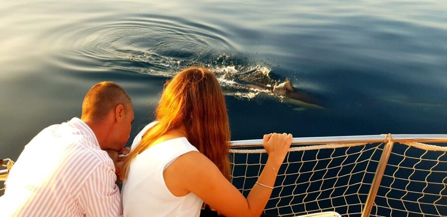 Estepona: Sunset boat trip & Cava & Tapa - Is $393 good value for six people?