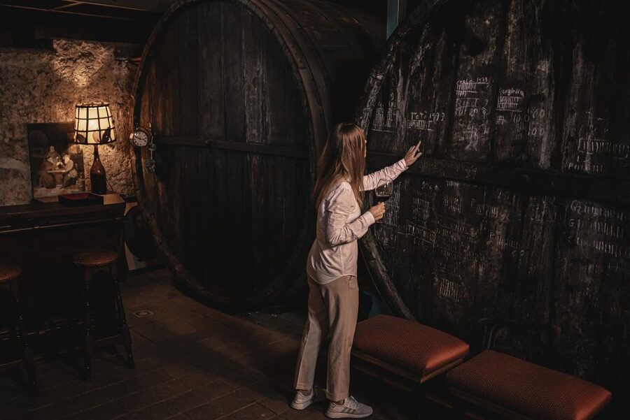 Etna Urban Winery, Vineyard Walk & Sunset Tasting Dinner - Why this Etna wine visit feels different