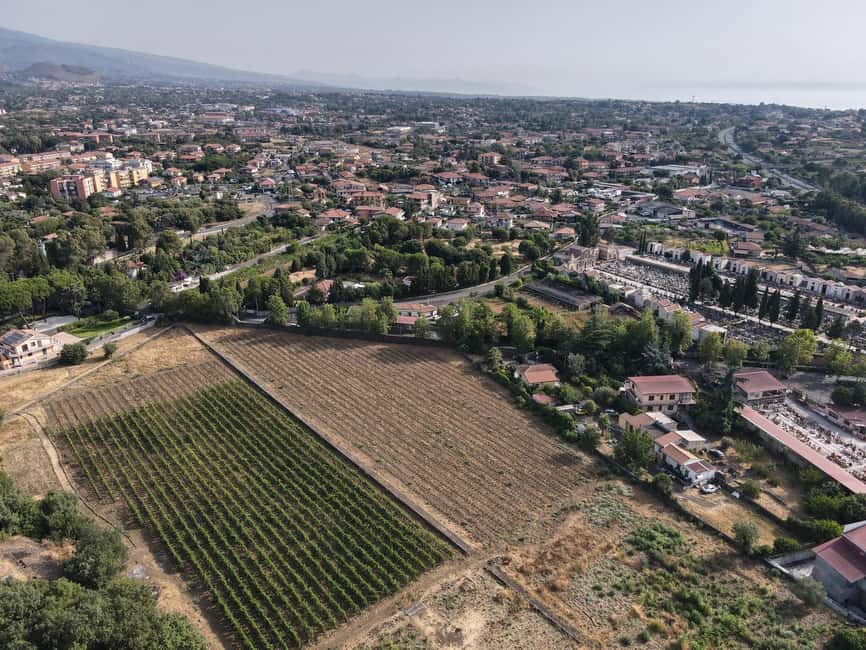 Etna Urban Winery, Vineyard Walk & Sunset Tasting Dinner - Practical details before you go