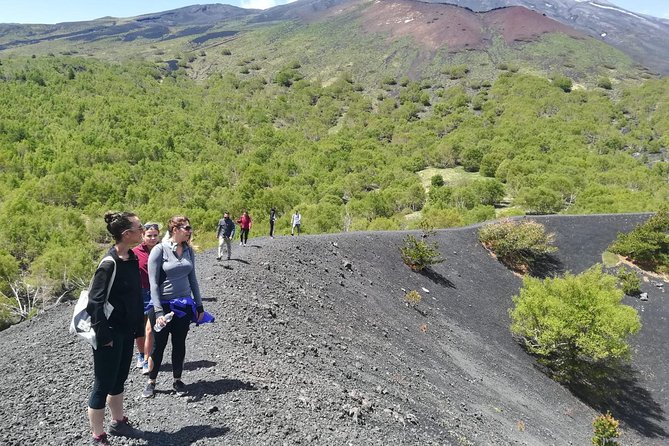 Etna, Wine and Alcantara Tour - From Taormina - Why this Etna day trip works so well