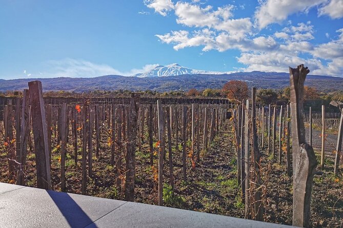 Etna Wine and Alcantara with lunch - Inside the lava cave with a helmet and headlamp