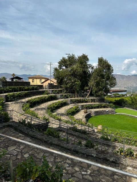 Etna: Wine Tasting and Food Tour - Guides make a major difference