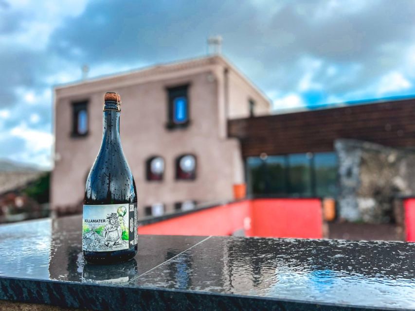 Etna: Wine Tasting and Food Tour - Is $129.14 a fair price?