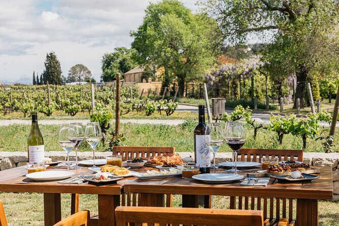 Familia Torres Winery: Gastronomic Tapas & Wine Experience - Why this Barcelona wine trip works