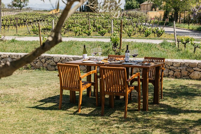 Familia Torres Winery: Gastronomic Tapas & Wine Experience - The Catalan tasting menu