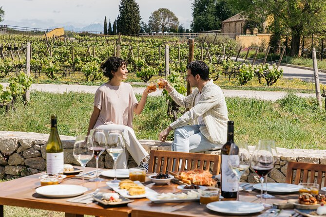 Familia Torres Winery: Gastronomic Tapas & Wine Experience - A polished producer, not a tiny vineyard