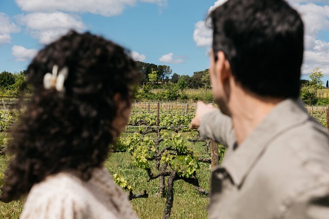 Familia Torres Winery: Gastronomic Tapas & Wine Experience - Practical details before you book