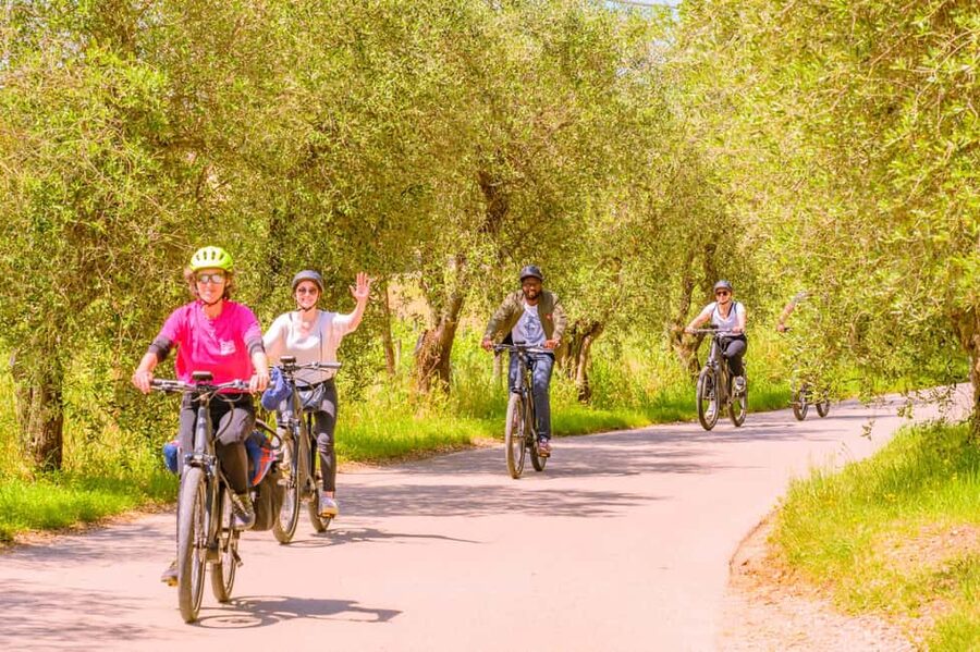 Florence: Chianti E-Bike Tour with Lunch & Two Wine Tastings - Should you book the Chianti e-bike tour?