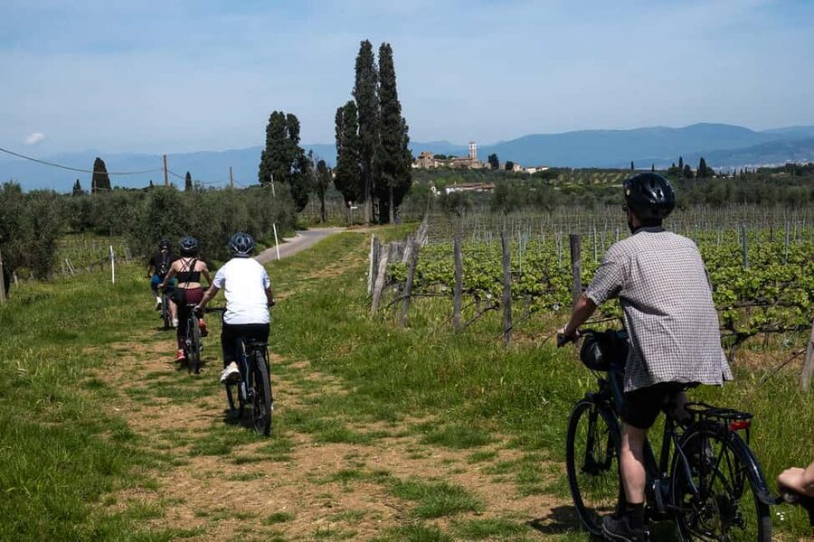 Florence: Chianti Hills Bike Tour with Farm Lunch & Wine - The climbs are real, not just scenic decoration