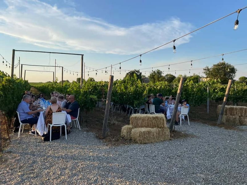 Florence: Chianti Vineyards Tour with Wine Tasting & Dinner - What the evening feels like in different weather