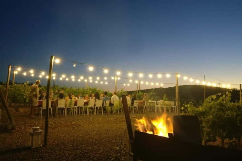 Florence: Chianti Vineyards Tour with Wine Tasting & Dinner - Is $128 a fair price?