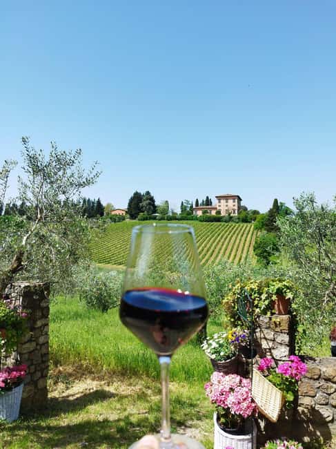Florence: Chianti Wine Tour with 3 Wineries & Tuscan Lunch - Is $234 good value?