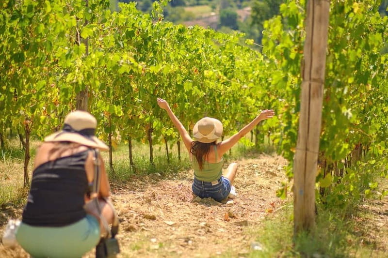 Florence: Chianti Wineries Tour with Wine Tasting - From Florence to the Chianti Hills
