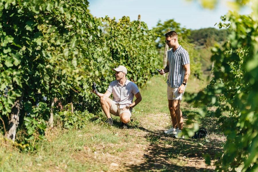 Florence: Chianti Wineries Tour with Wine Tasting - Who will enjoy this tour most
