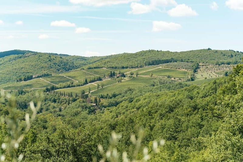 Florence: Chianti Wineries Tour with Wine Tasting - Small details that improve the experience