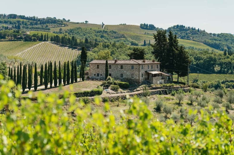 Florence: the Chianti wineries run