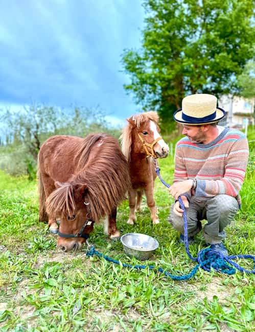 Florence: Countryside Tour with Wine Tasting & Pasta Class - Five Organic Wines in the Cellar