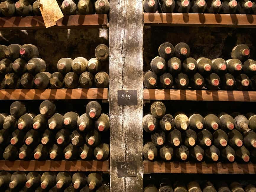 Florence: Great Chianti Wine and Olive Oil Trail with Lunch - First winery: boutique wine and the olive oil mill