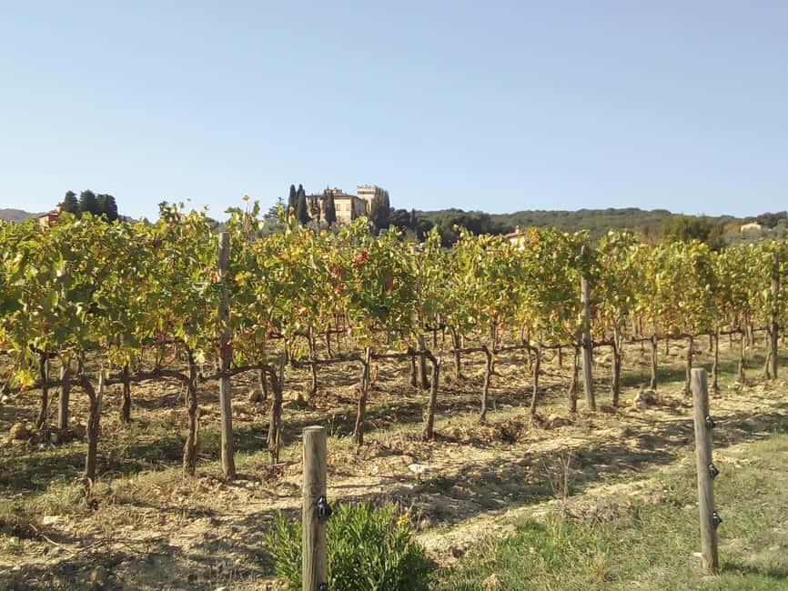 Florence: Horseback Riding Tour with Wine Tasting & Transfer - From Piazza dei Cavalleggeri to the Tuscan countryside