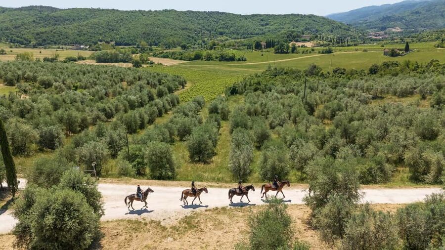 Florence: Horseback Riding Tour with Wine Tasting & Transfer - Riding among vineyards, olive trees, and country houses